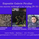 Verlenging Expositie Galerie Piculiar